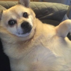 Meet your Posher, Amber